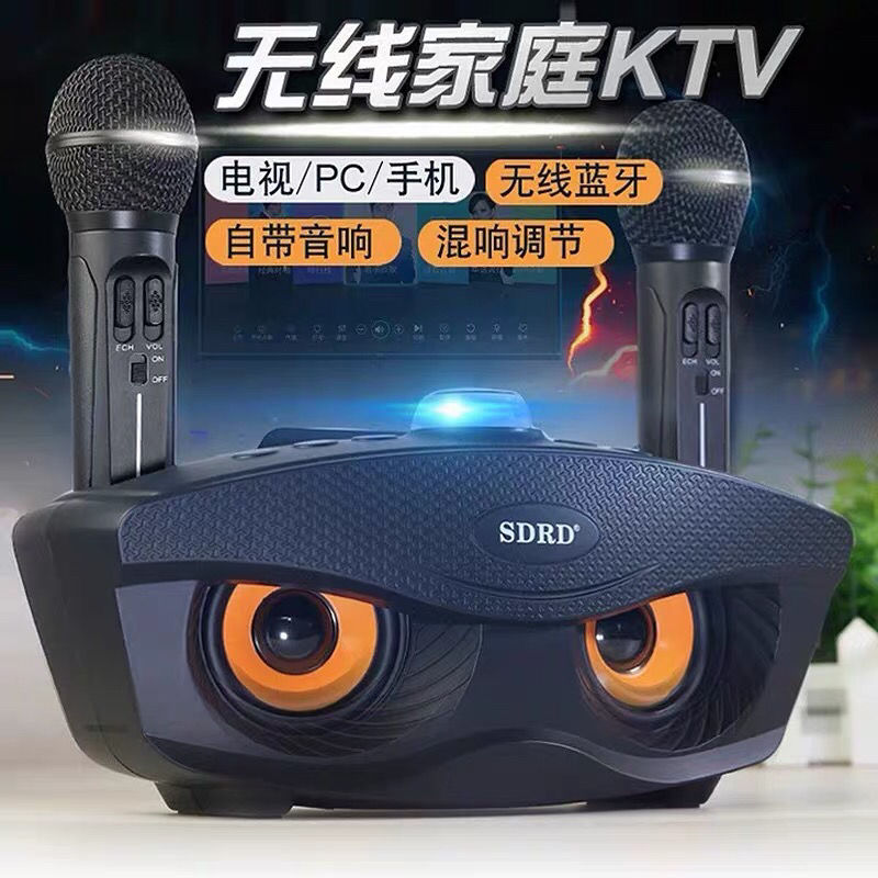 Loa Bluetooth Karaoke Mắt Cú KTV SD306 kèm 2 mic